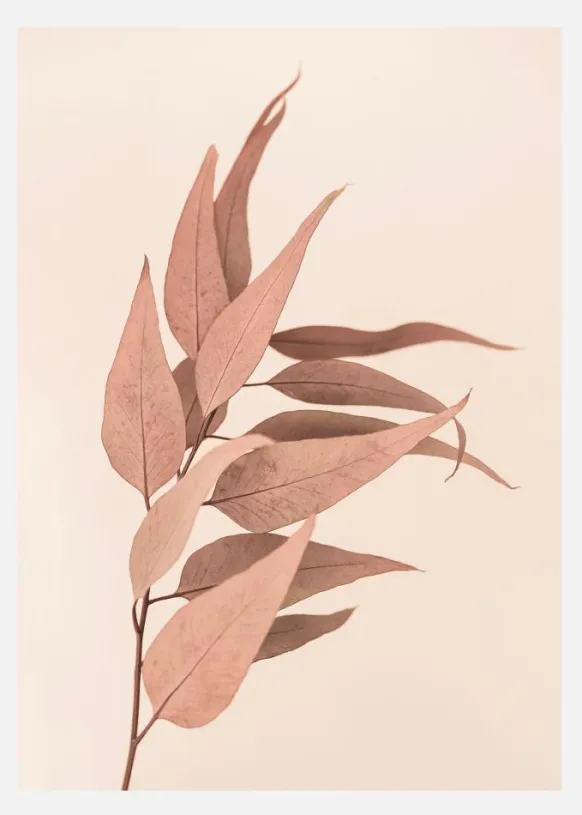 Dried Eucalyptus Canvastavla (30x40 cm)
