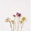 Dried Flowers I Canvastavla (30x40 cm)