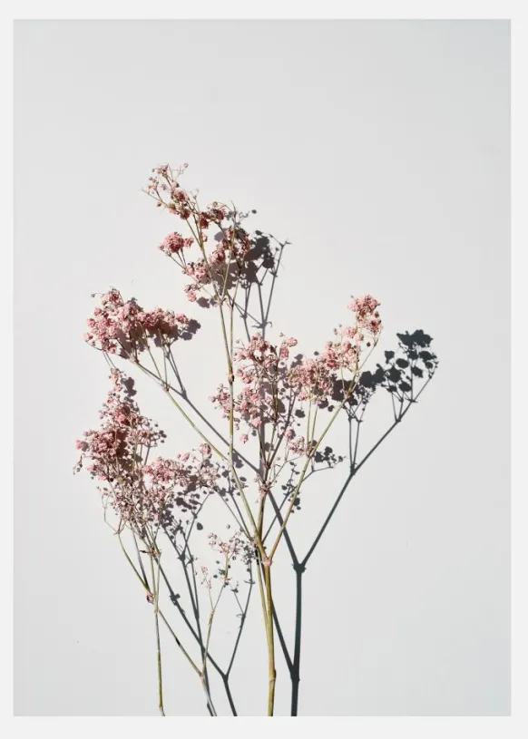 Dried Flowers II Canvastavla (30x40 cm)