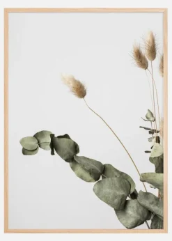 Dried 002 Poster (21x29.7 cm (A4))