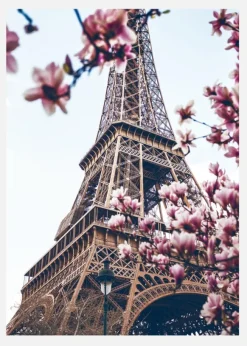 Eiffel Tower Blossoms Canvastavla (30x40 cm)
