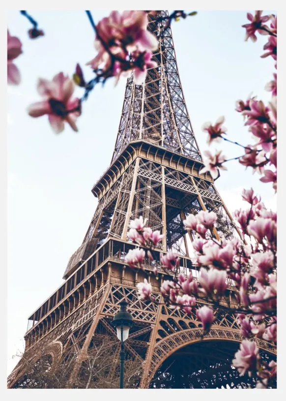 Eiffel Tower Blossoms Canvastavla (30x40 cm)