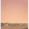 Eight Camels Canvastavla (30x40 cm)