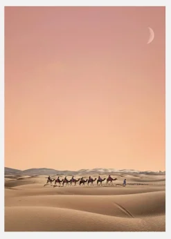 Eight Camels Canvastavla (30x40 cm)