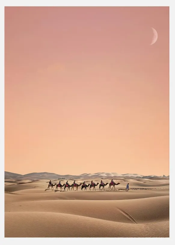 Eight Camels Canvastavla (30x40 cm)