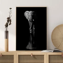 Elephant Poster (21x29.7 cm (A4))