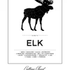 Elk Cut Chart Poster (21x29.7 cm (A4))