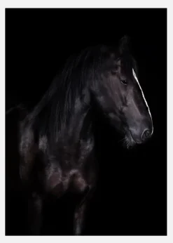 Erika Canvastavla (30x40 cm)