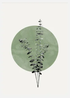 Eucalyptus And Green Moon Canvastavla (30x40 cm)