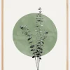 Eucalyptus and Green Moon Poster (21x29.7 cm (A4))