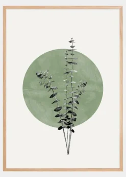 Eucalyptus and Green Moon Poster (21x29.7 cm (A4))