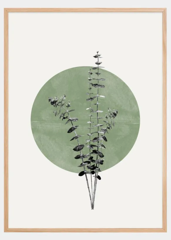 Eucalyptus and Green Moon Poster (21x29.7 cm (A4))