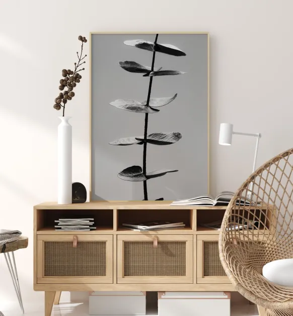 Eucalyptus Bw Poster (21x29.7 cm (A4))