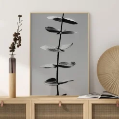 Eucalyptus Bw Poster (21x29.7 cm (A4))