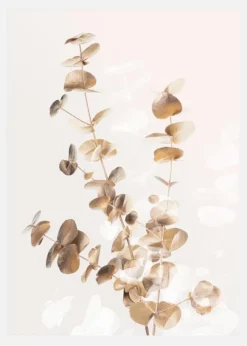 Eucalyptus Creative Gold II Canvastavla (30x40 cm)