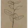 Eucalyptus Sapling Canvastavla (30x40 cm)