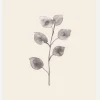 Eucalyptus Twig Canvastavla (30x40 cm)