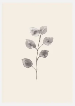 Eucalyptus Twig Canvastavla (30x40 cm)