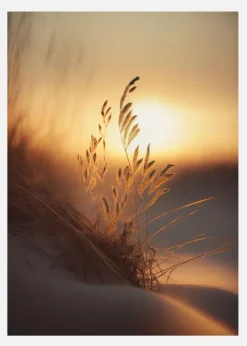 Evening Sun At The Beach Canvastavla (30x40 cm)