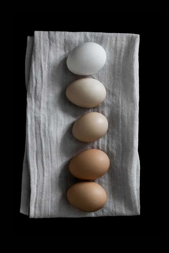 Farm eggs Poster (21x29.7 cm (A4))