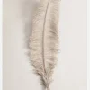 Feather 002 Canvastavla (30x40 cm)