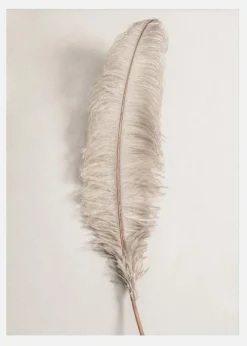 Feather 002 Canvastavla (30x40 cm)