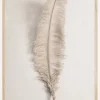 Feather 002 Poster (21x29.7 cm (A4))
