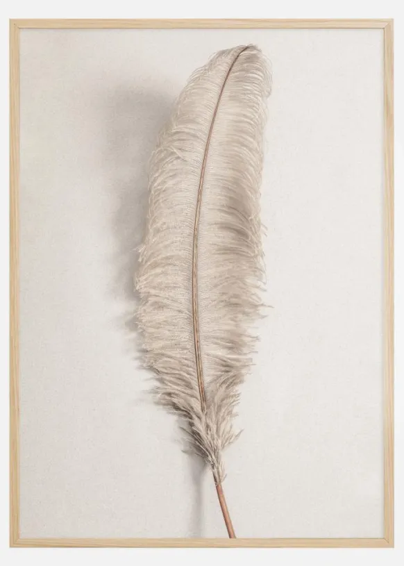 Feather 002 Poster (21x29.7 cm (A4))