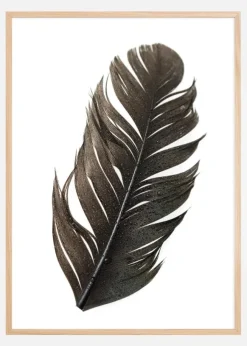 Feather Poster (21x29.7 cm (A4))