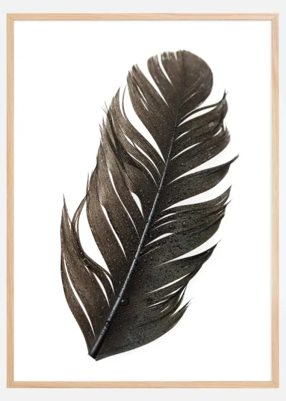 Feather Poster (21x29.7 cm (A4))