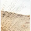 Field Canvastavla (30x40 cm)