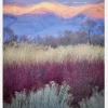Field Layers Canvastavla (30x40 cm)