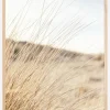 Field Poster (21x29.7 cm (A4))