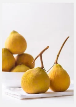 Figs Canvastavla (30x40 cm)