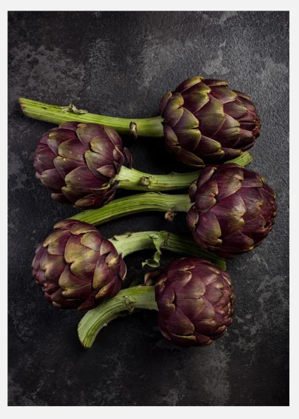 Five Artichoke Canvastavla (30x40 cm)