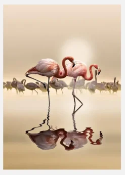 Flamingos Canvastavla (30x40 cm)