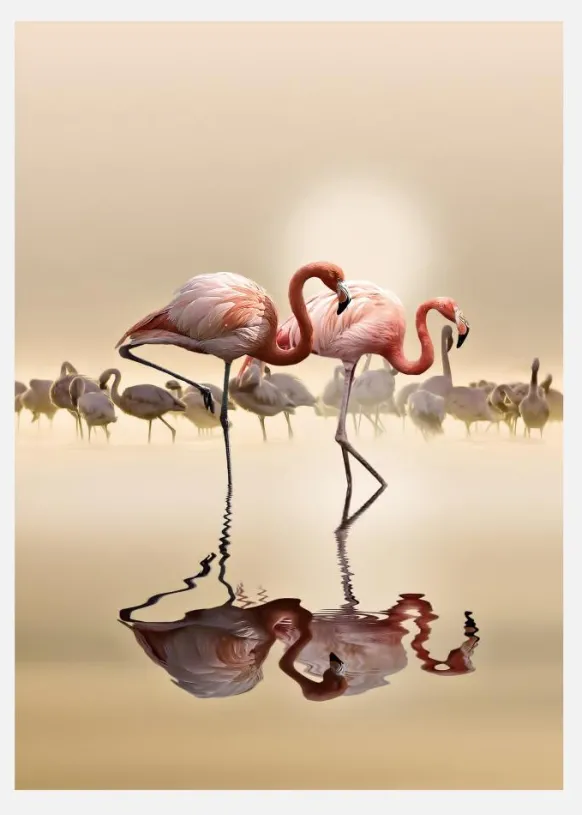 Flamingos Canvastavla (30x40 cm)