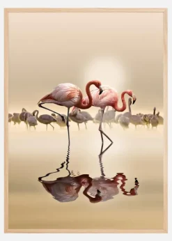 FLAMINGOS Poster (21x29.7 cm (A4))