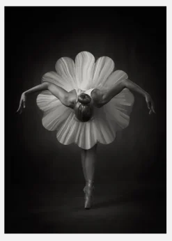 Floral Ballet Canvastavla (30x40 cm)