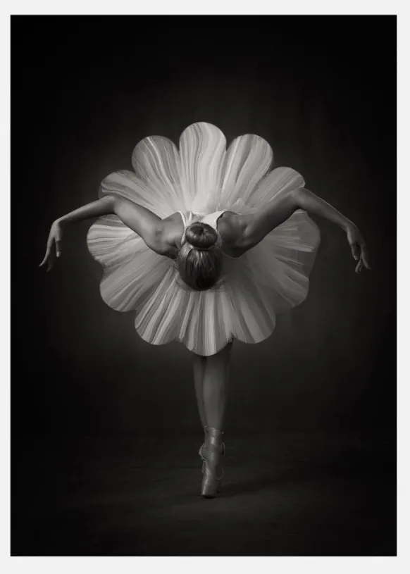 Floral Ballet Canvastavla (30x40 cm)