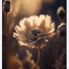 Flower In Morning Sun Canvastavla (30x40 cm)