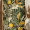 Flowers and fruits 1 Poster (21x29.7 cm (A4))