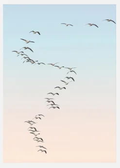 Fly Away Canvastavla (30x40 cm)