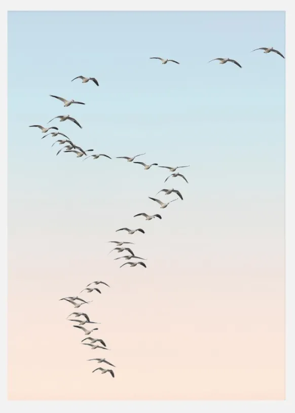 Fly Away Canvastavla (30x40 cm)