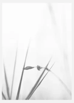 Fog Canvastavla (30x40 cm)