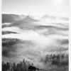 Foggy Forest Black & White I Canvastavla (30x40 cm)