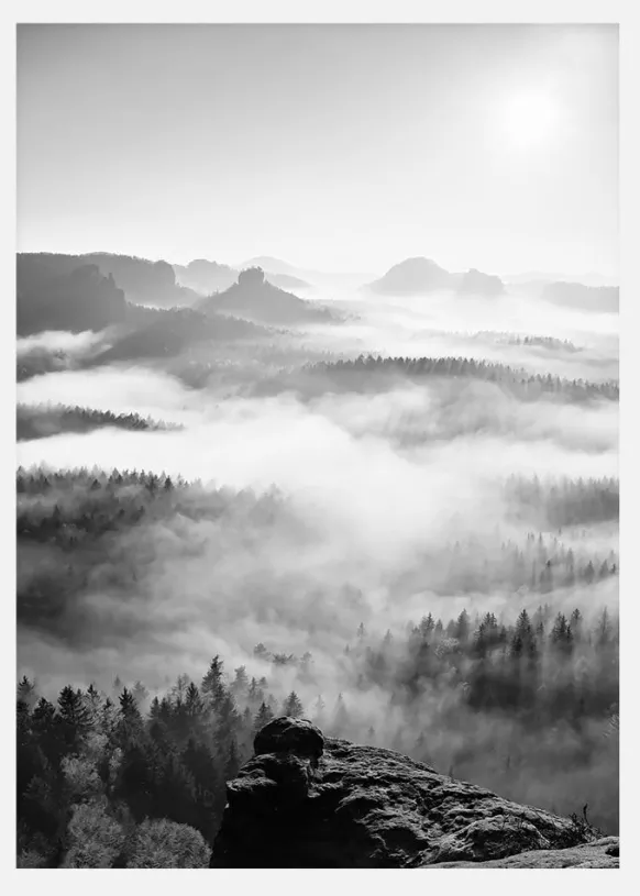 Foggy Forest Black & White I Canvastavla (30x40 cm)