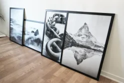 Foggy Forest Black & White I - 50x70 cm Poster