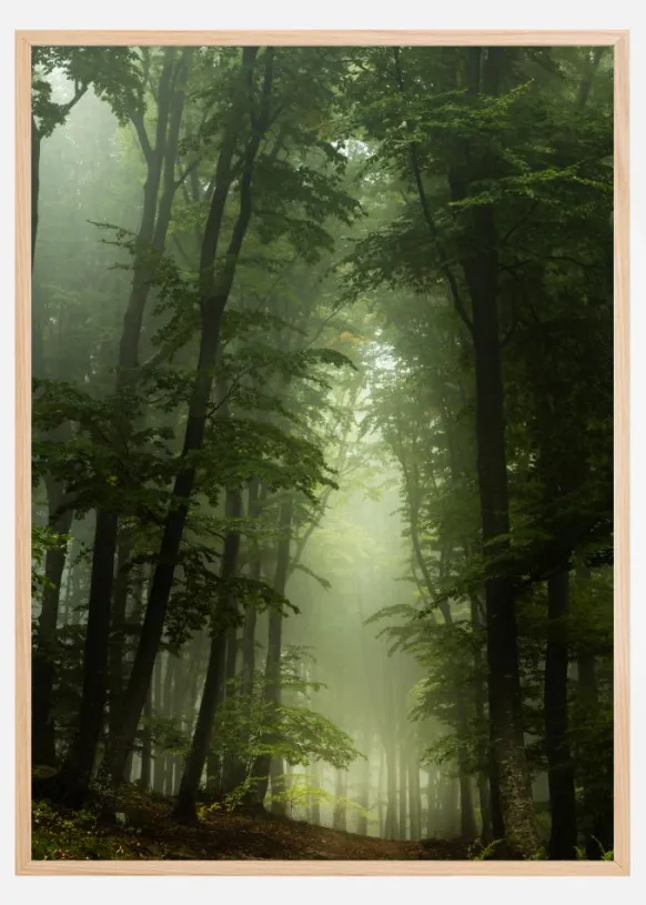 Foggy Forrest Poster (21x29.7 cm (A4))