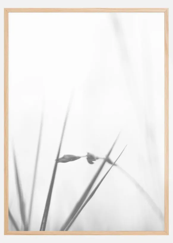 Fog Poster (21x29.7 cm (A4))